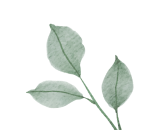 Muślinowa Bluza Tuluma Salvia Flora